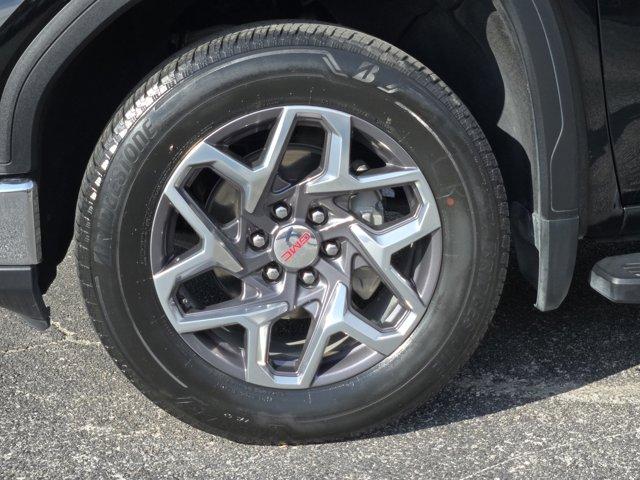 2023 GMC Sierra 1500 Vehicle Photo in Decatur, TX 76234