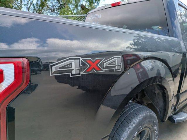 2019 Ford F-150 Vehicle Photo in SELMA, TX 78154-1459