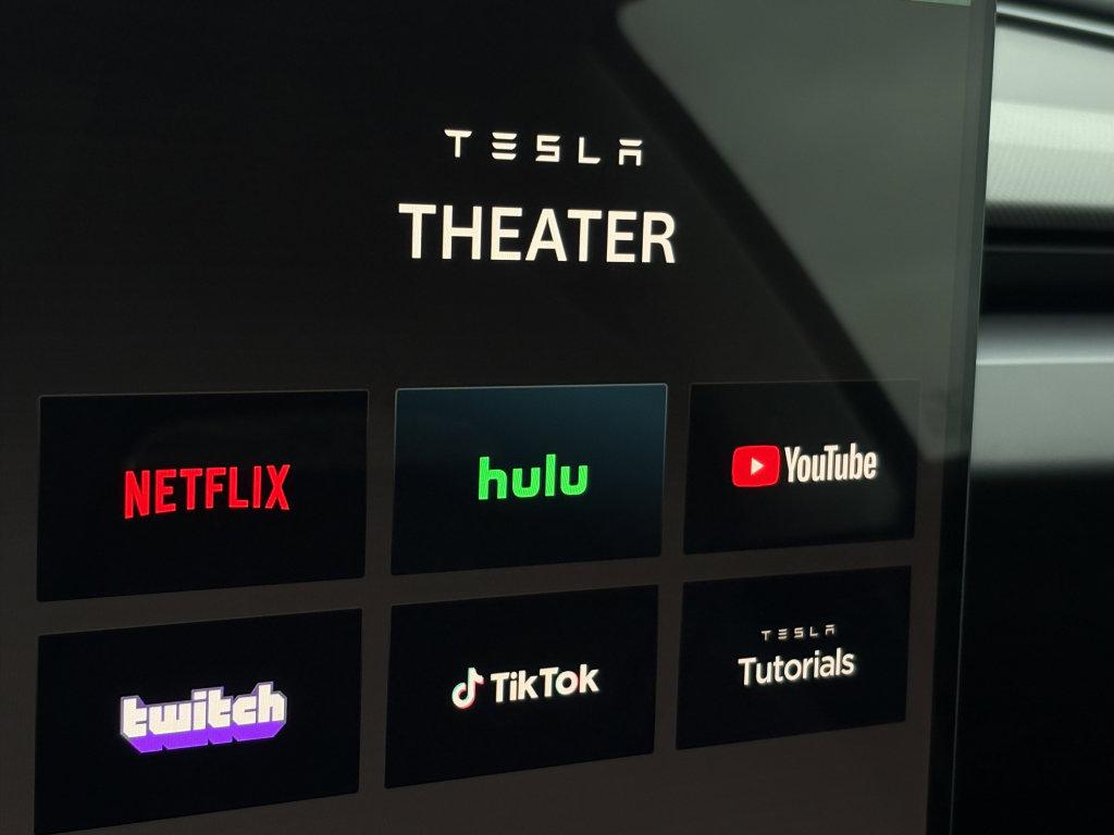 2025 Tesla Model 3 Vehicle Photo in POOLER, GA 31322-3252