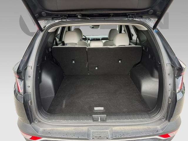 2024 Hyundai TUCSON Vehicle Photo in Statesboro, GA 30458