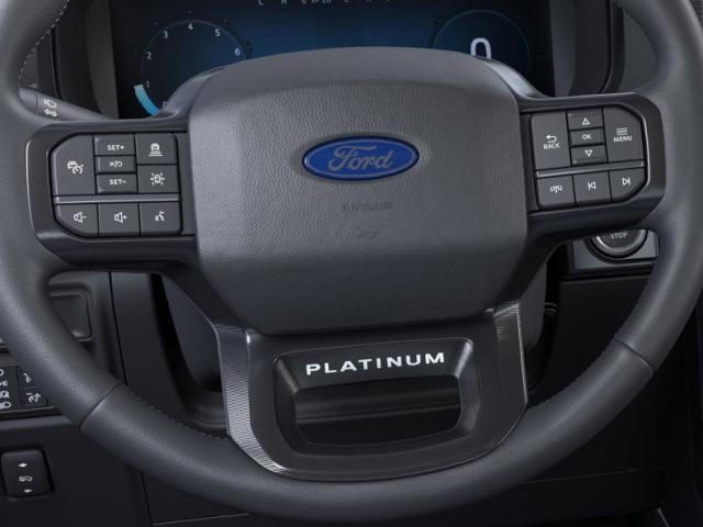 2025 Ford F-150 Vehicle Photo in Weatherford, TX 76087