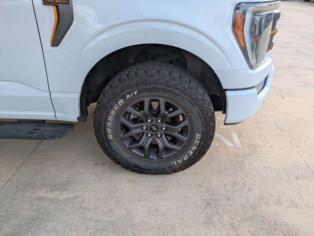 2023 Ford F-150 Vehicle Photo in SELMA, TX 78154-1459