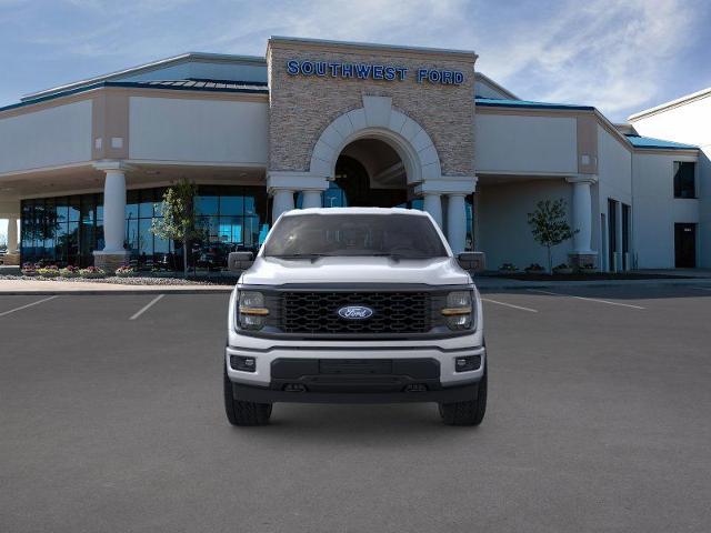 2025 Ford F-150 Vehicle Photo in Weatherford, TX 76087