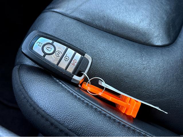 2020 Ford Edge Vehicle Photo in BEAUFORT, SC 29906-4218