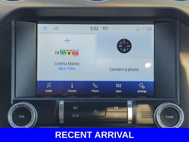 2020 Ford Mustang Vehicle Photo in Merrillville, IN 46410
