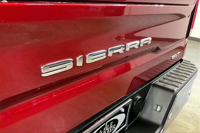 2019 GMC Sierra 1500 Vehicle Photo in Lees Summit, MO 64086