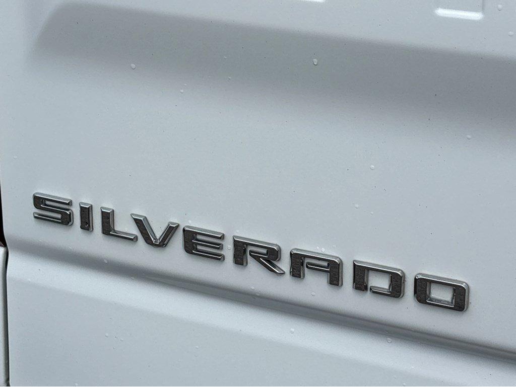 2024 Chevrolet Silverado 1500 Vehicle Photo in SAVANNAH, GA 31406-4513