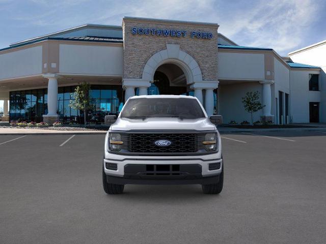 2025 Ford F-150 Vehicle Photo in Weatherford, TX 76087