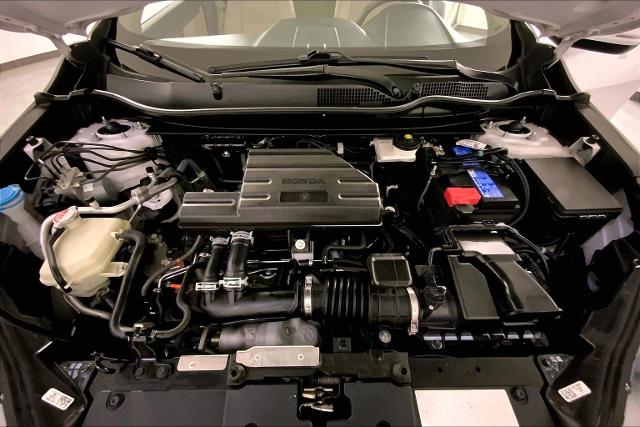 2022 Honda CR-V Vehicle Photo in KANSAS CITY, MO 64114-4502