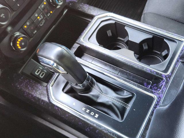 2020 Ford F-150 Vehicle Photo in DENTON, TX 76210-9321