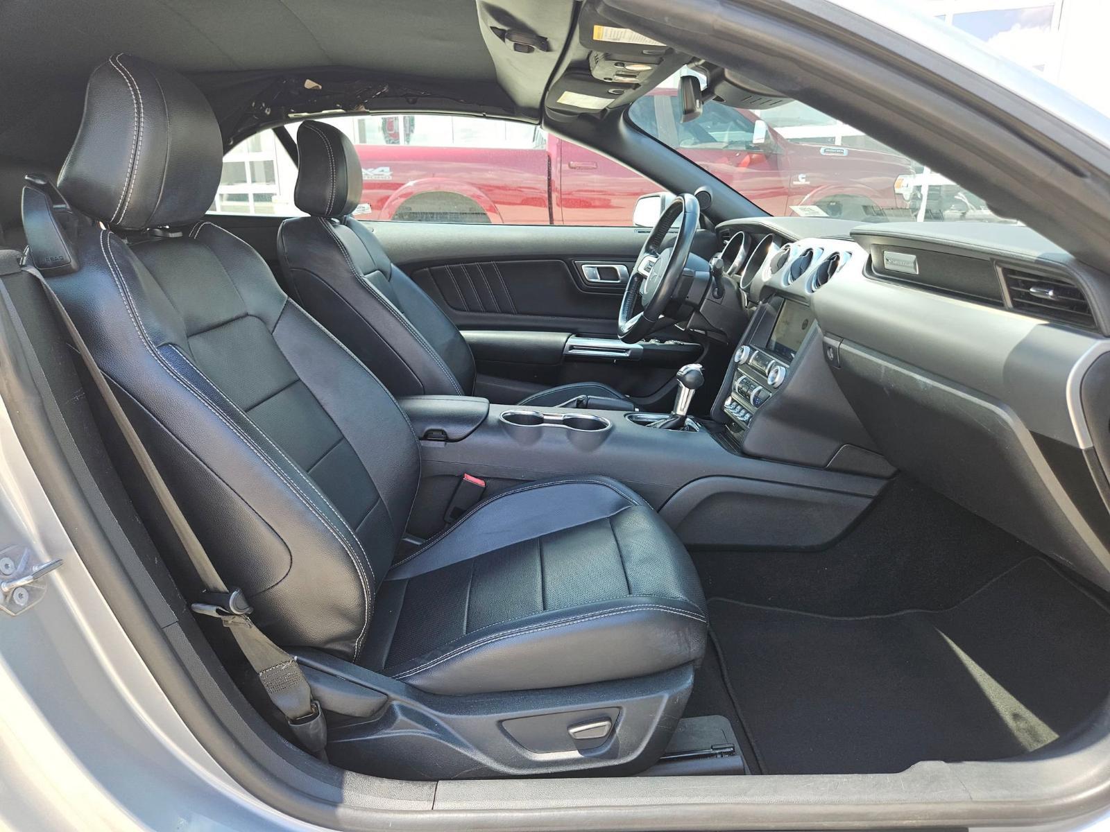 2023 Ford Mustang Vehicle Photo in Seguin, TX 78155