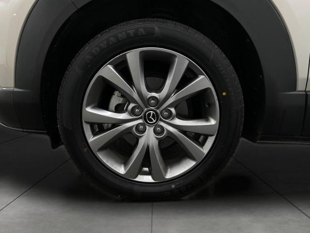 2024 Mazda CX-30 Vehicle Photo in Appleton, WI 54913