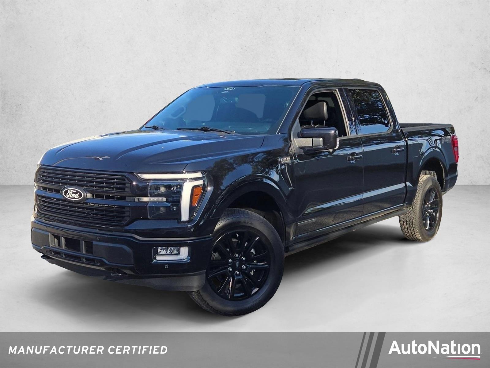 2025 Ford F-150 Vehicle Photo in St. Petersburg, FL 33713