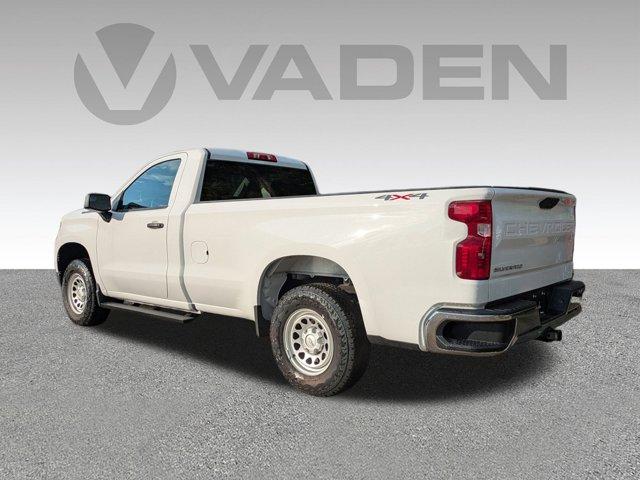 2025 Chevrolet Silverado 1500 Vehicle Photo in BRUNSWICK, GA 31525-1881