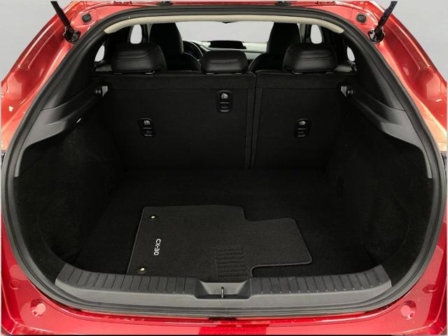 2025 Mazda CX-30 Vehicle Photo in Appleton, WI 54913