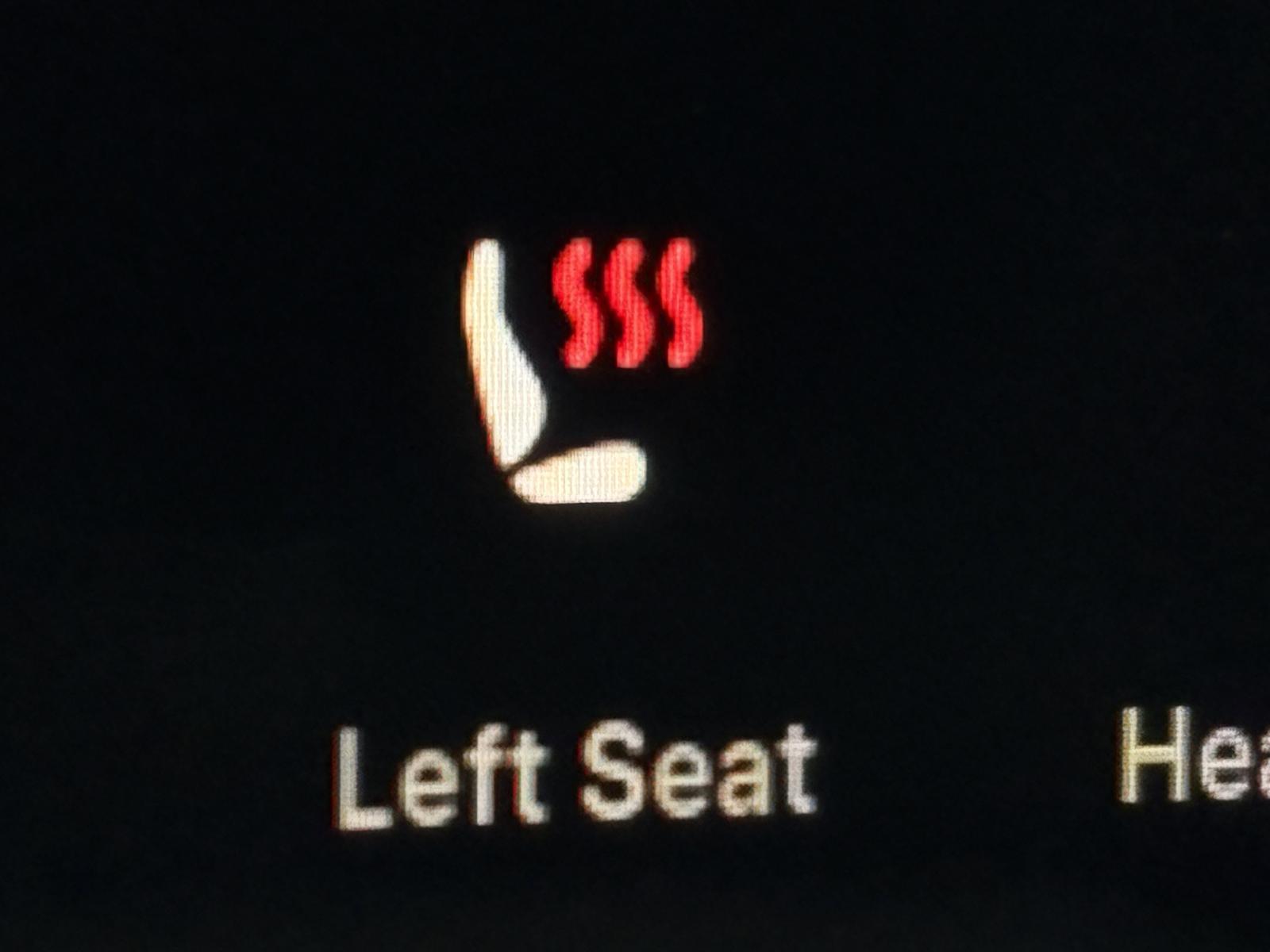 2025 Tesla Model 3 Vehicle Photo in POOLER, GA 31322-3252