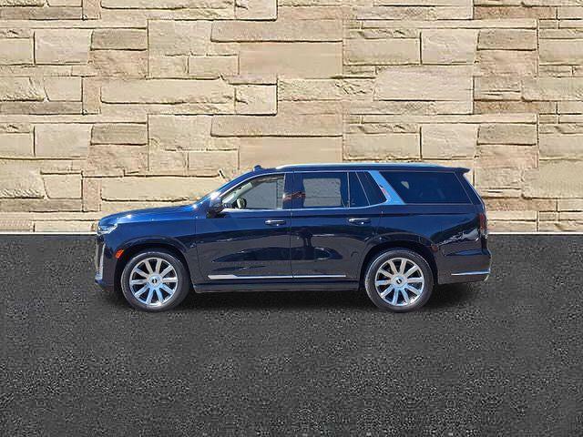 2023 Cadillac Escalade Vehicle Photo in DANBURY, CT 06810-5034