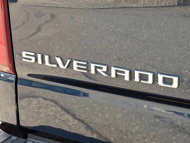 2019 Chevrolet Silverado 1500 Vehicle Photo in DANBURY, CT 06810-5034