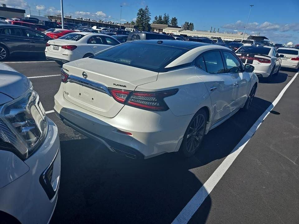 2019 Nissan Maxima Vehicle Photo in Cedar Rapids, IA 52402