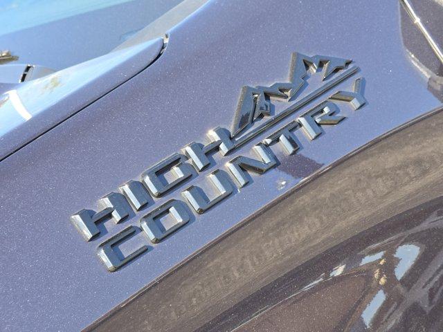 2023 Chevrolet Silverado 1500 Vehicle Photo in Decatur, TX 76234