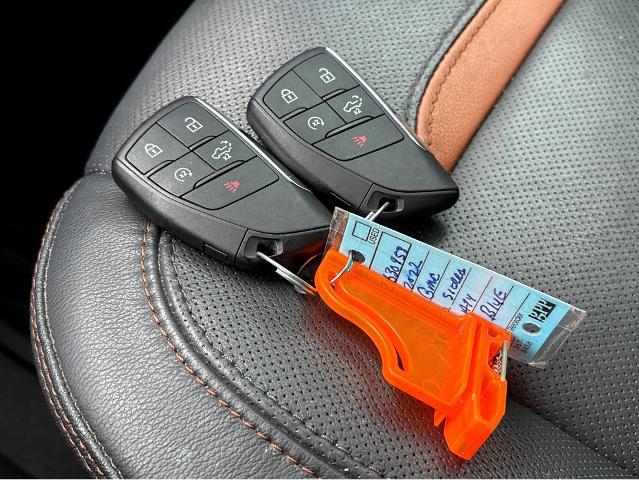 2022 GMC Sierra 1500 Vehicle Photo in BEAUFORT, SC 29906-4218