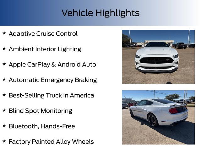 2020 Ford Mustang Vehicle Photo in Weatherford, TX 76087