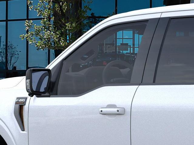 2025 Ford F-150 Vehicle Photo in Weatherford, TX 76087