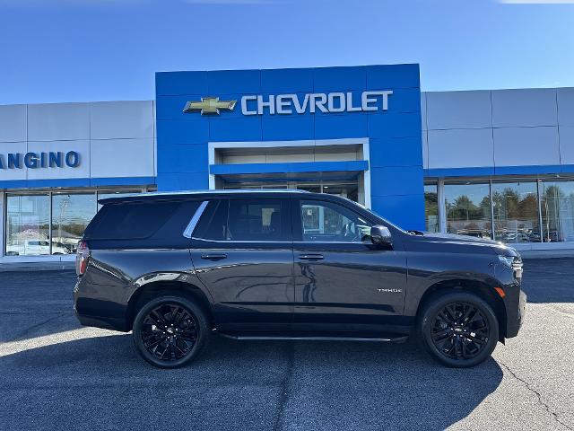 2023 Chevrolet Tahoe Vehicle Photo in AMSTERDAM, NY 12010-6209
