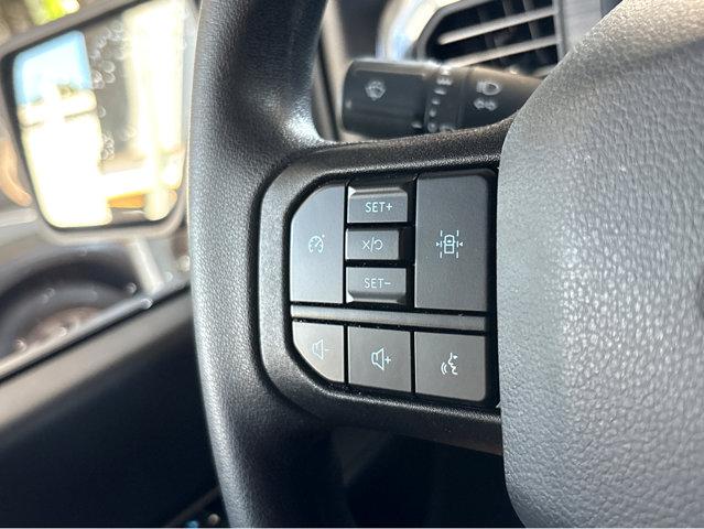 2025 Ford F-150 Vehicle Photo in Savannah, GA 31419