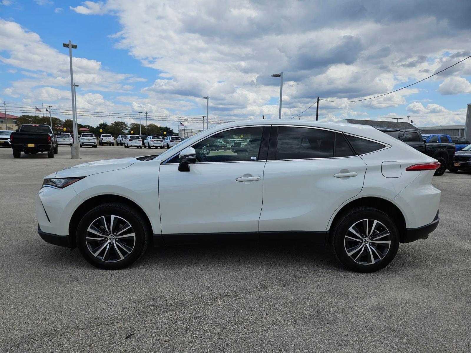 2022 Toyota Venza Vehicle Photo in Seguin, TX 78155