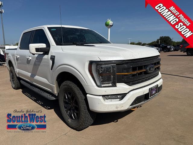 2023 Ford F-150 Vehicle Photo in Weatherford, TX 76087