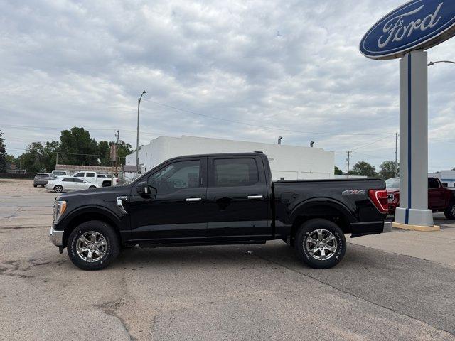 2021 Ford F-150 Vehicle Photo in Ogallala, NE 69153
