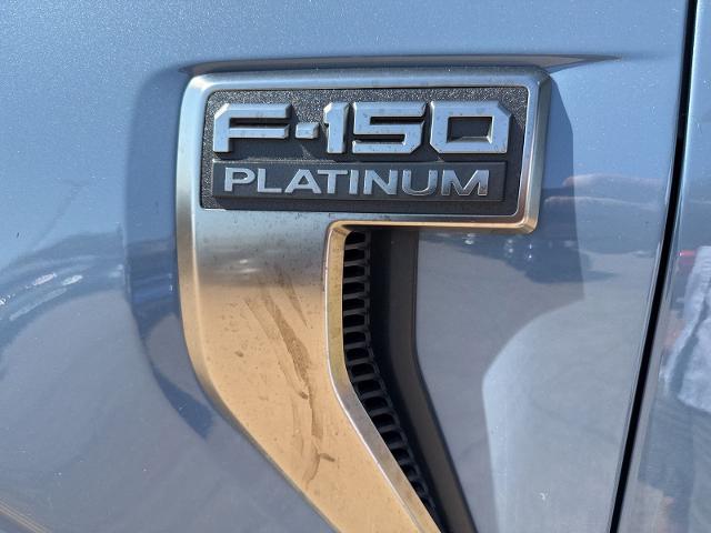 2023 Ford F-150 Vehicle Photo in Weatherford, TX 76087