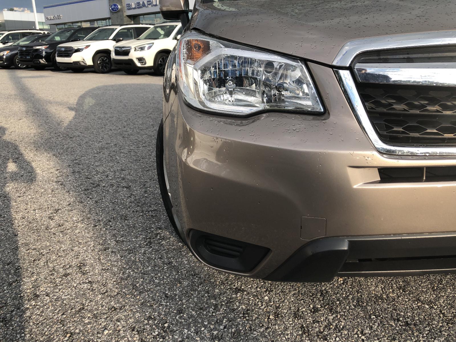 2015 Subaru Forester Vehicle Photo in Mechanicsburg, PA 17050