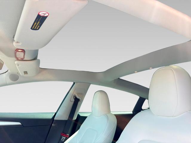 2023 Tesla Model 3 Vehicle Photo in Statesboro, GA 30458