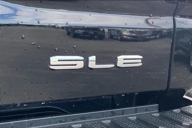 2019 GMC Sierra 1500 Vehicle Photo in INDEPENDENCE, MO 64055-1377