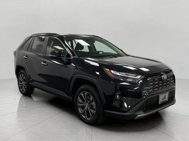 2024 Toyota RAV4 Vehicle Photo in Appleton, WI 54913