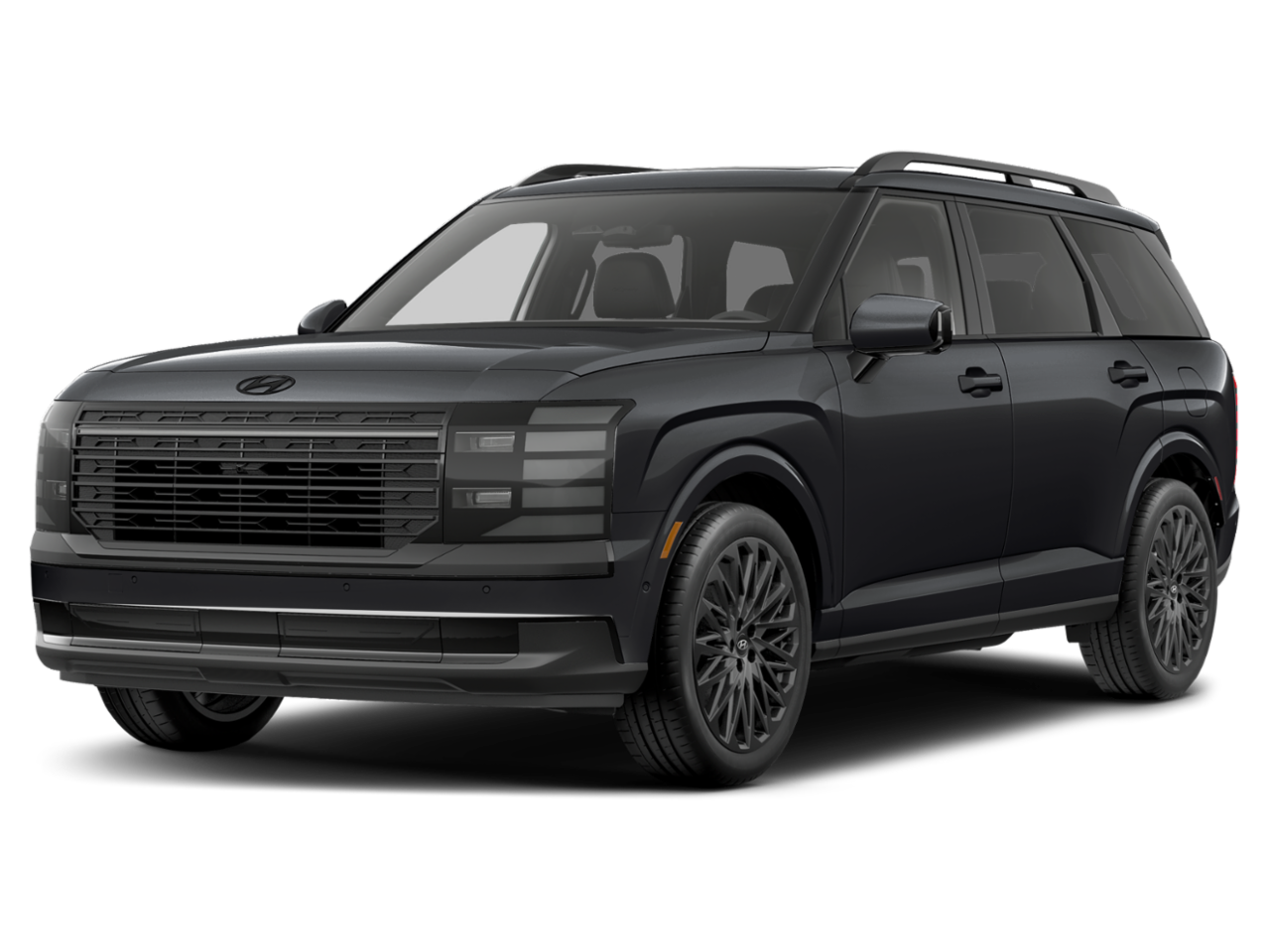 Hyundai 2027 Palisade Hybrid Calligraphy Black Ink
