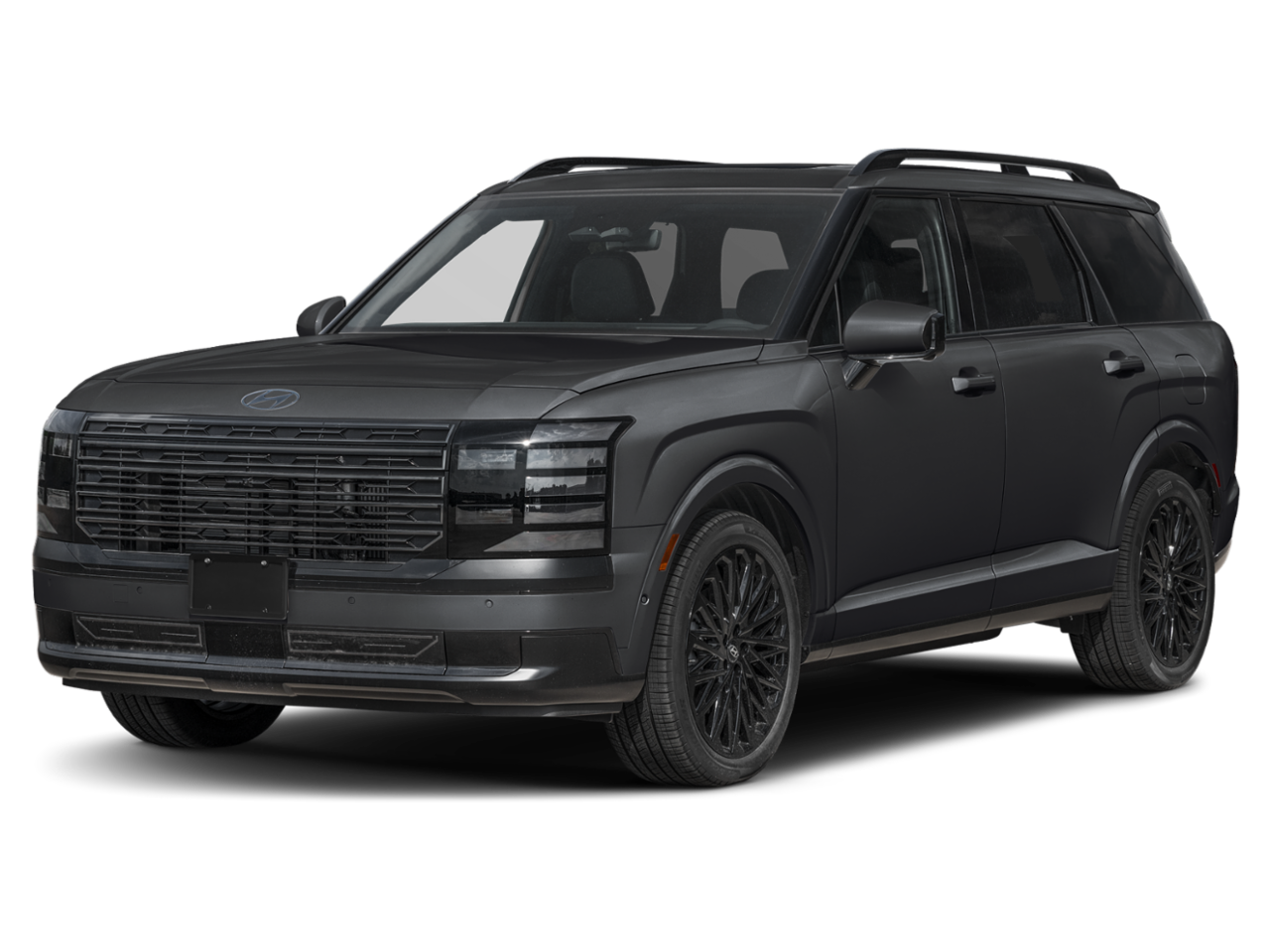 Hyundai 2027 Palisade Hybrid Calligraphy Black Ink