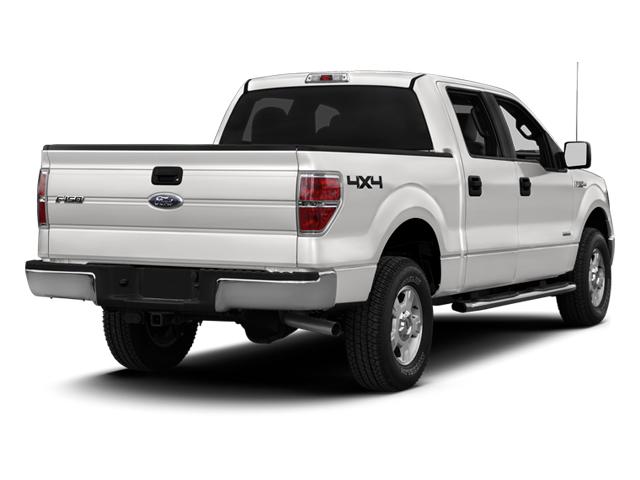 2013 Ford F-150 Vehicle Photo in Hinesville, GA 31313