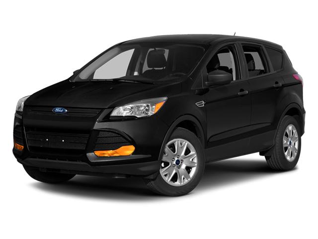2014 Ford Escape Vehicle Photo in Harrisburg, PA 17111
