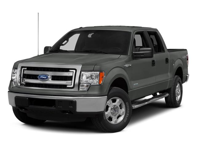 2014 Ford F-150 Vehicle Photo in KANSAS CITY, MO 64114-4502
