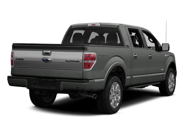 2014 Ford F-150 Vehicle Photo in Denton, TX 76205