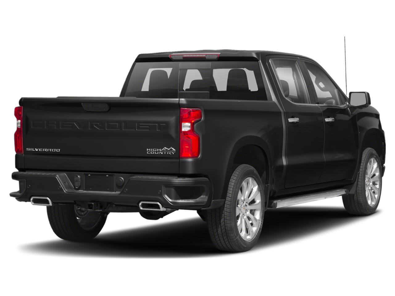 2019 Chevrolet Silverado 1500 Vehicle Photo in SELMA, TX 78154-1459
