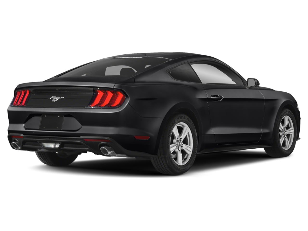 2019 Ford Mustang Vehicle Photo in SELMA, TX 78154-1459