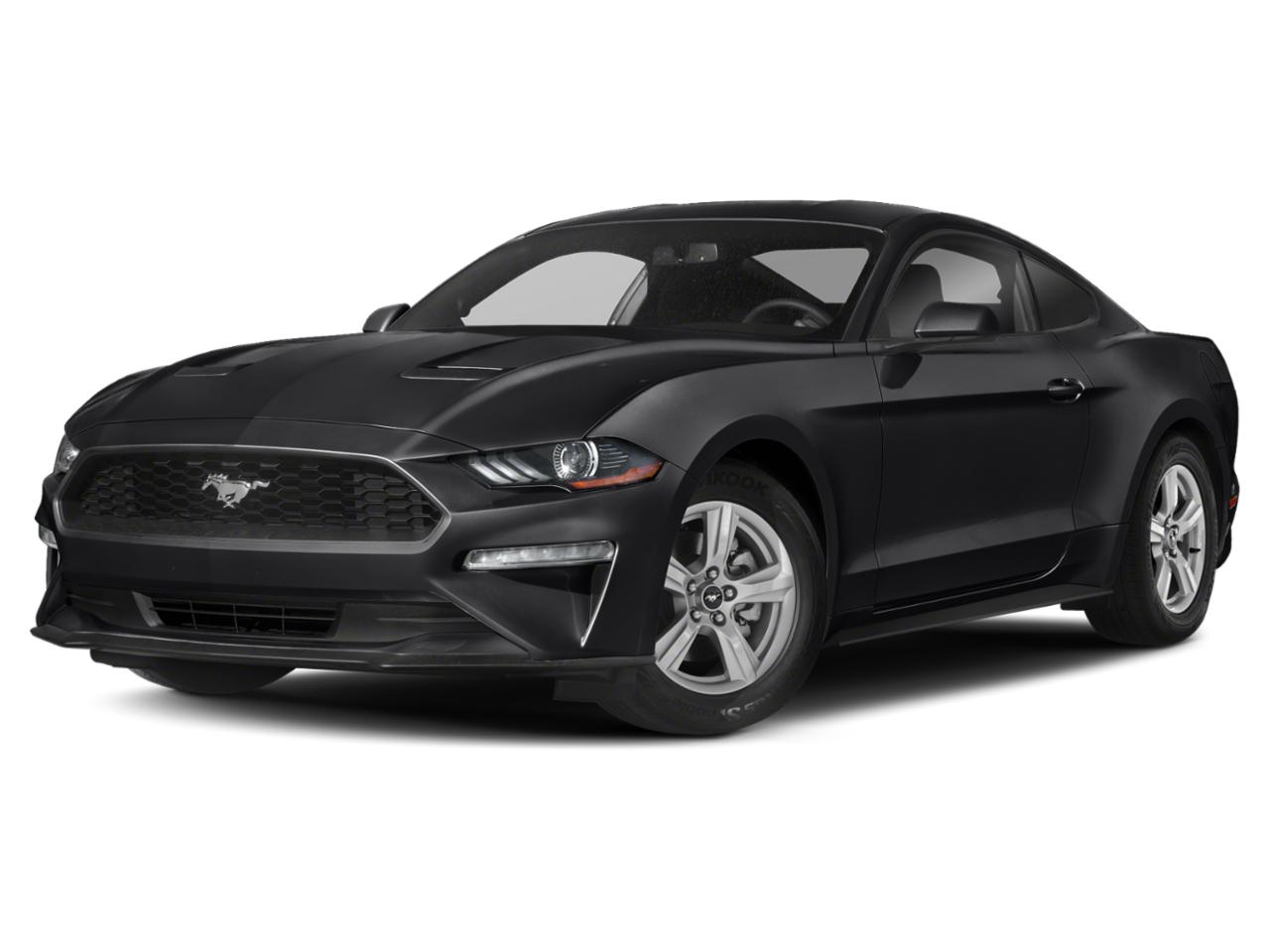 2019 Ford Mustang Vehicle Photo in SELMA, TX 78154-1459