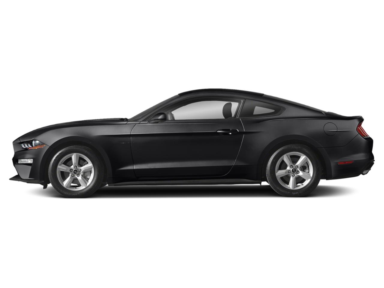 2019 Ford Mustang Vehicle Photo in SELMA, TX 78154-1459
