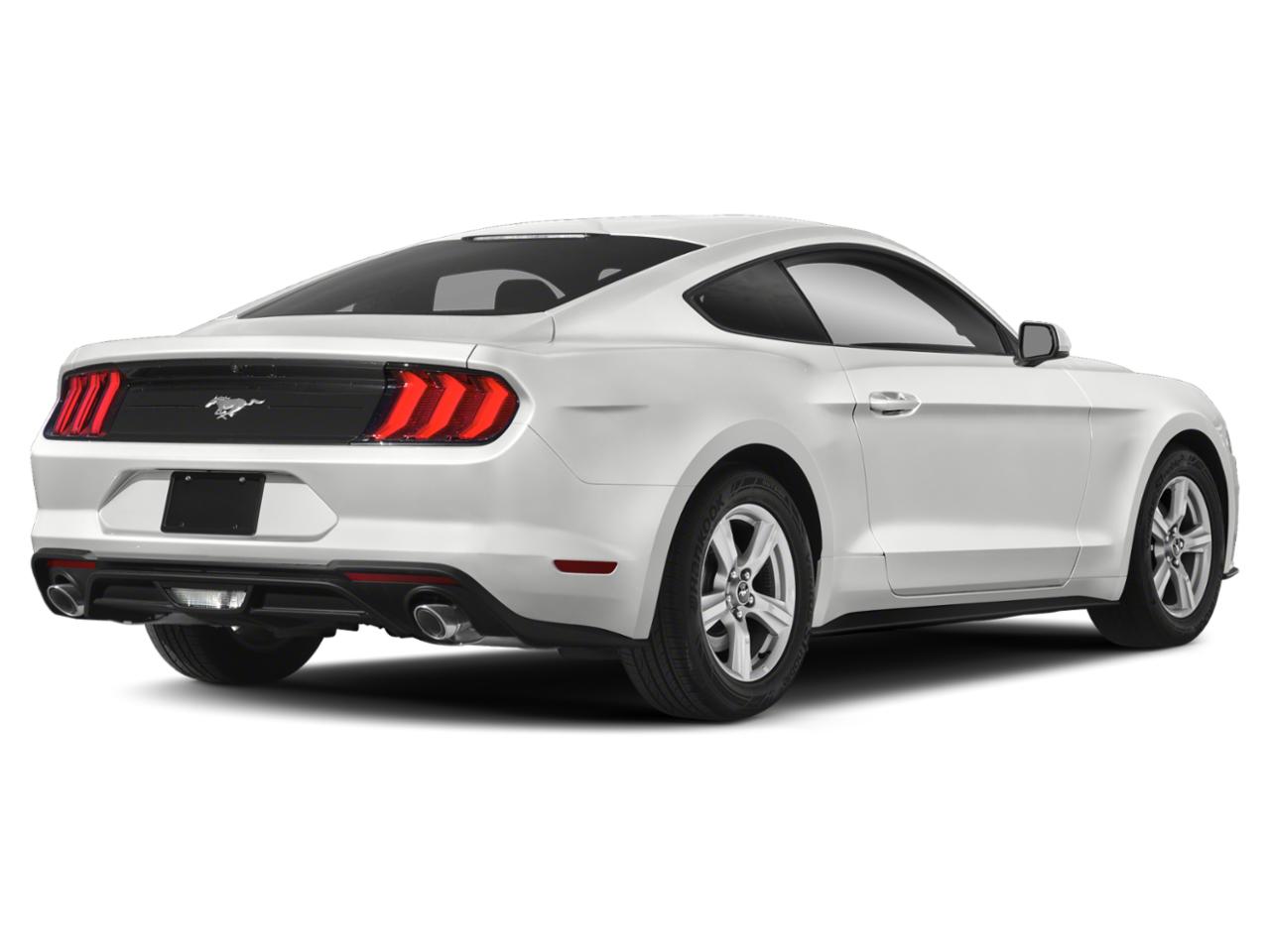 2019 Ford Mustang Vehicle Photo in Statesboro, GA 30458