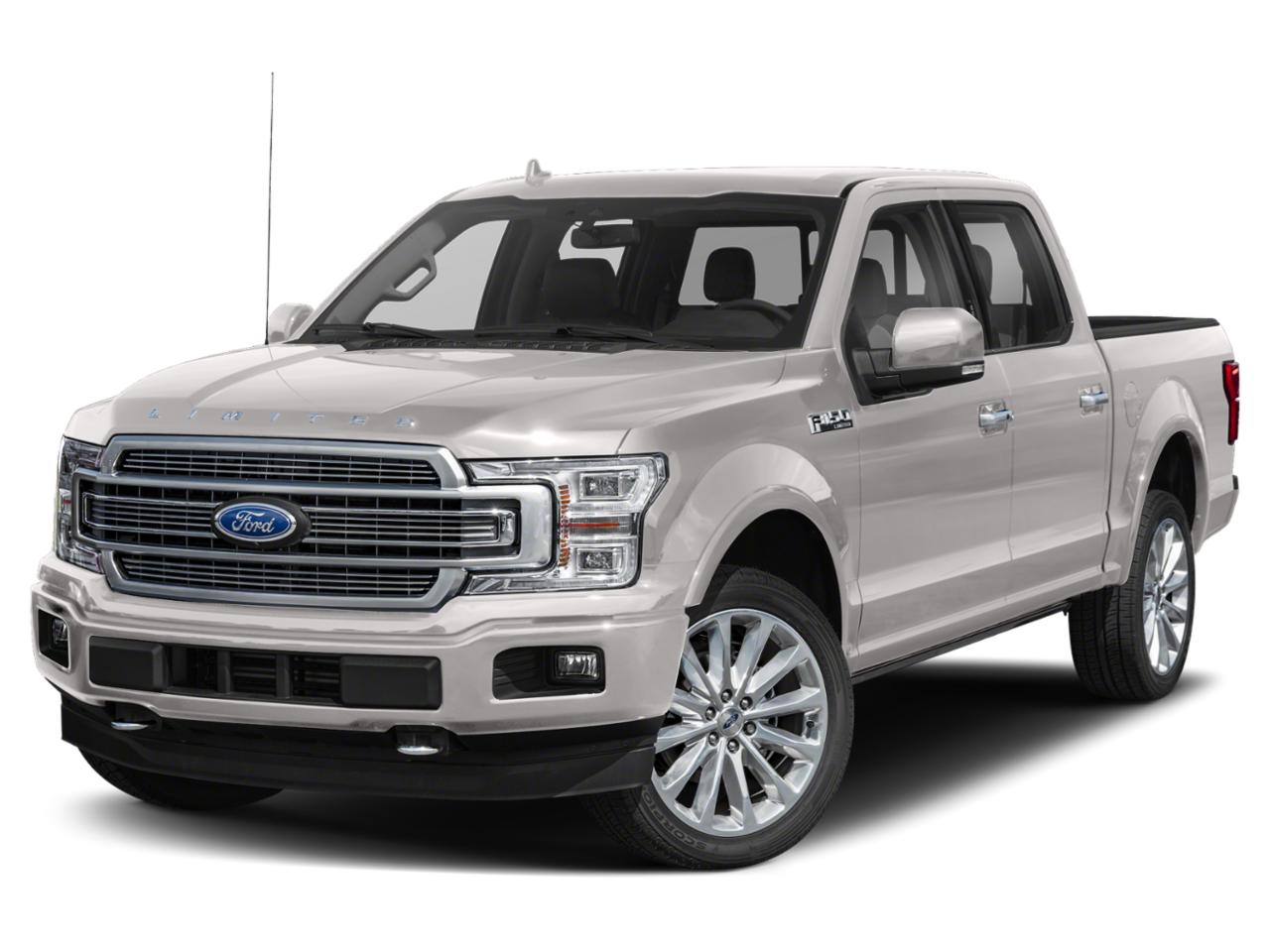 2019 Ford F-150 Vehicle Photo in SELMA, TX 78154-1460