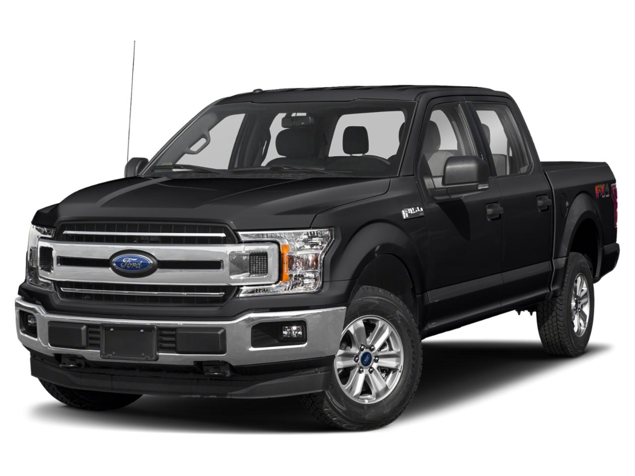 2019 Ford F-150 Vehicle Photo in SELMA, TX 78154-1459